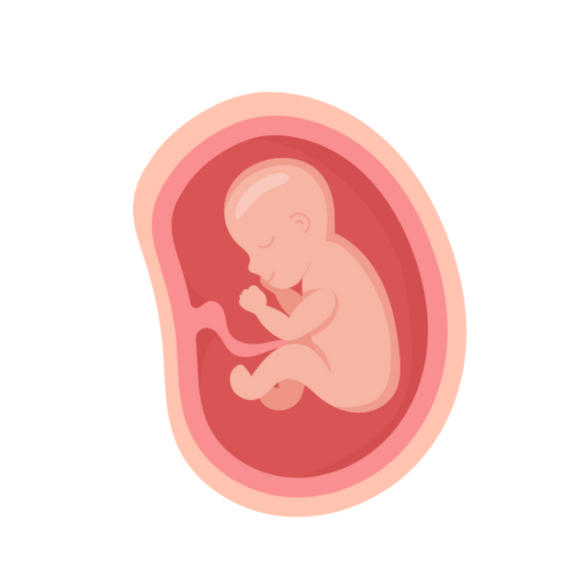 multicolumns-item-image-2