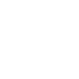feature-item-1